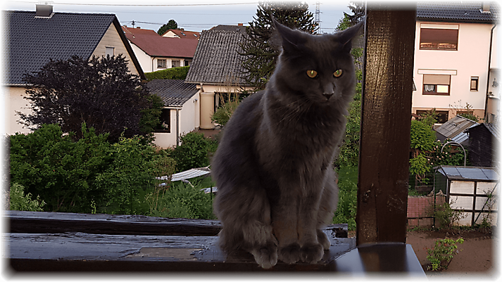 20180604_211732