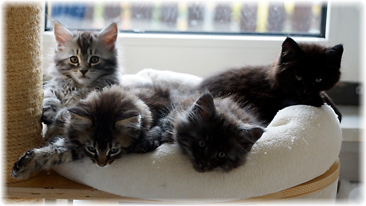 20201029_121631_DSC6582