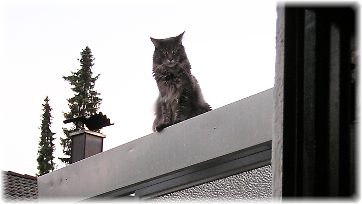 20080701_202200
